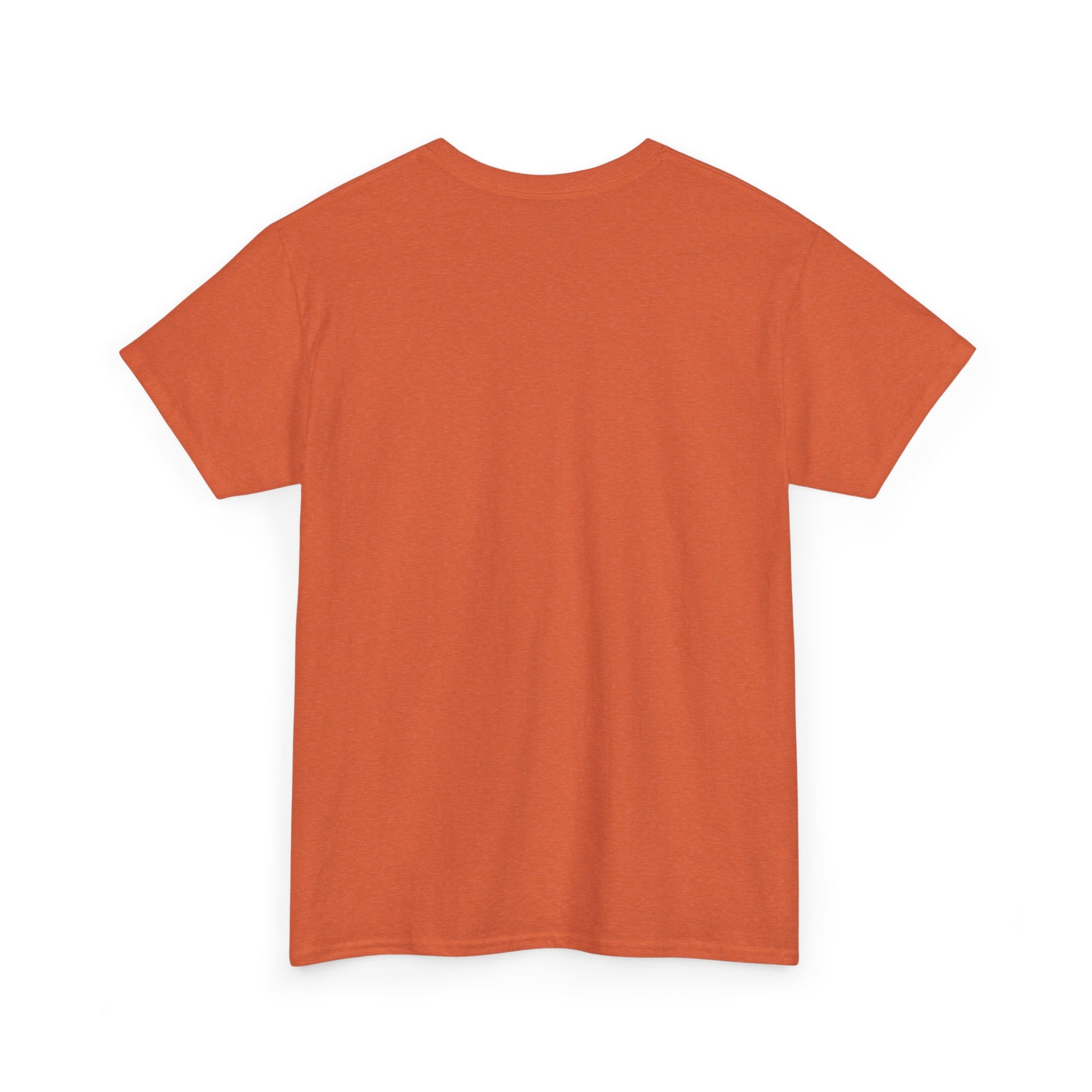 Unisex Heavy Cotton Tee - Casual Comfort, Gift for Him/Her, Everyday Wear, Relaxed Fit, Perfect for Summer